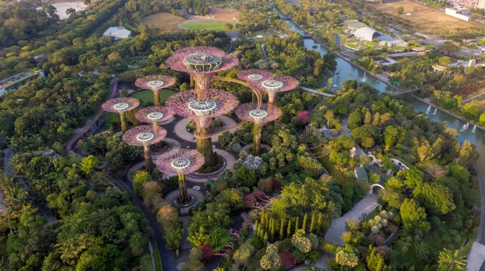 Supertree Grove at Gardens by the Bay seen from above